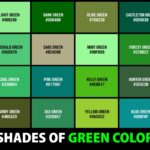 Green Juice Powders with Highest Sales Unleashed