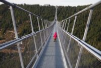 Most Popular Gym Tracking Apps in America Unveiled