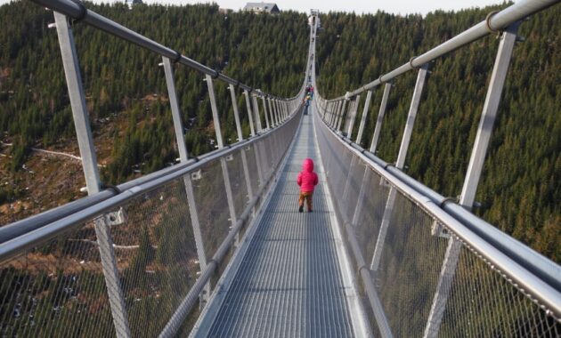 Most Popular Gym Tracking Apps in America Unveiled