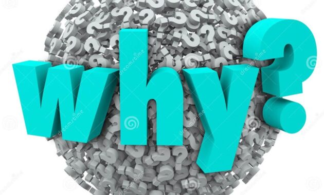 Why the US Loves Mobile Gaming More Than Ever